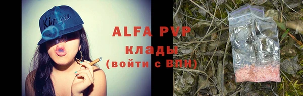 гидра Алзамай