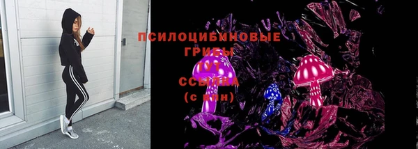 гидра Алзамай