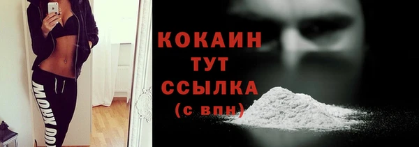 ГАЛЛЮЦИНОГЕННЫЕ ГРИБЫ Абаза